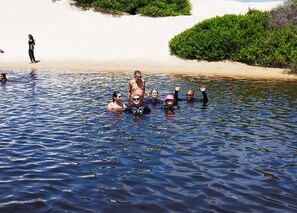 Eine Gruppe Menschen befindet sich im Wasser, möglicherweise einem See oder Fluss, mit einem Sandstrand und Grün in der Ferne.