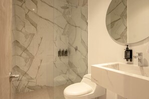 Chuveiro, secador de cabelo, toalhas de banho, shampoo
