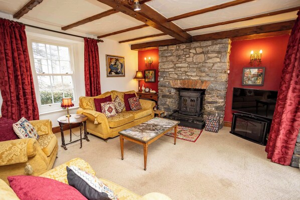 TV, fireplace, offices