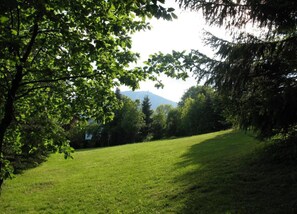 Escape to a serene natural oasis surrounded by lush trees and a majestic mountain backdrop.