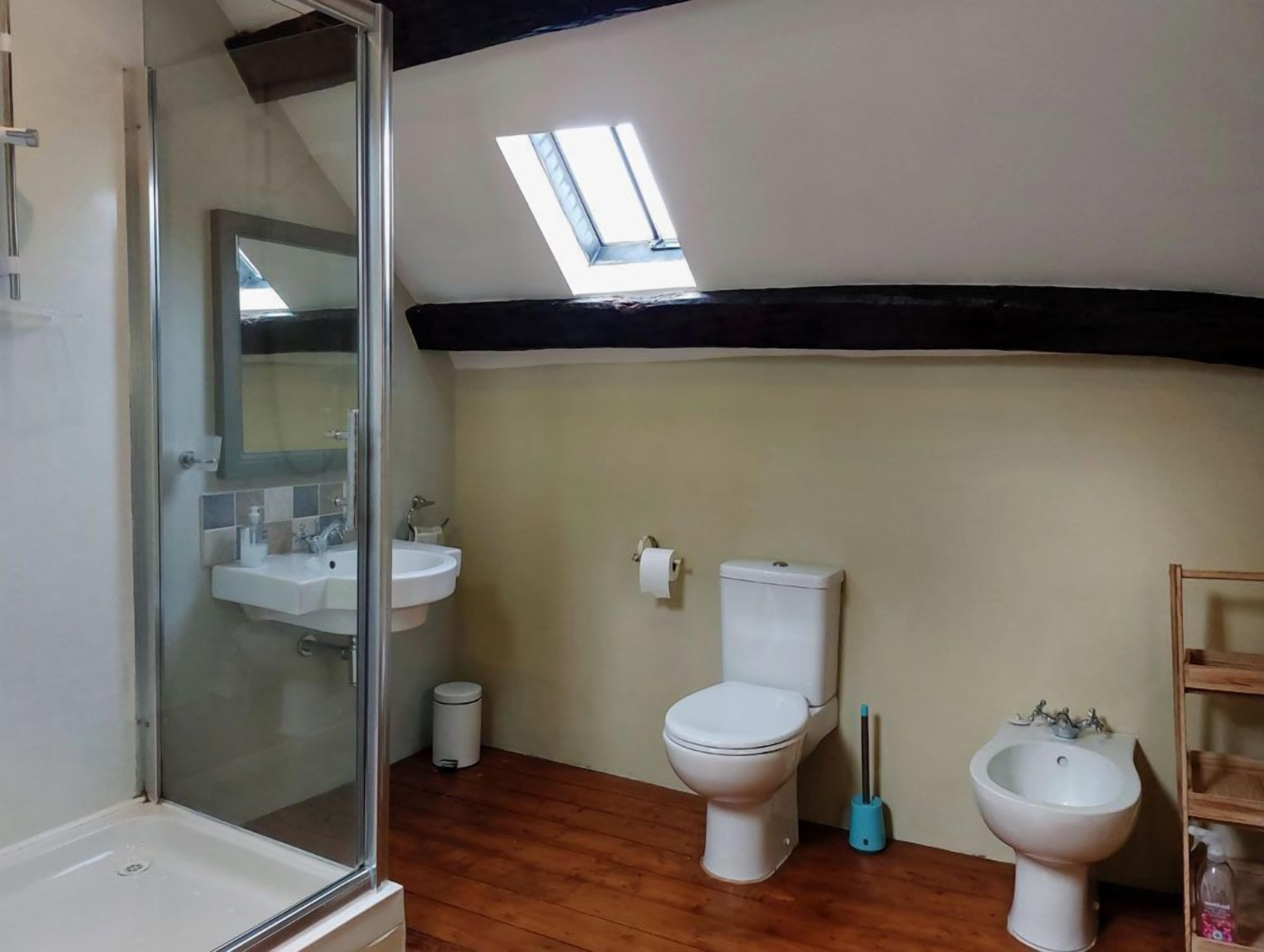 Een badkamer met dakraam, douche, toilet, toiletbril en wastafel.