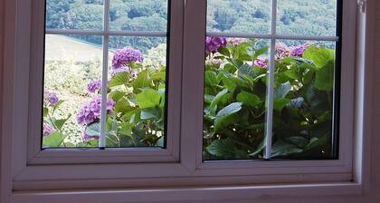 Hafan Y Talgarth bungalow at Plas Talgarth resort