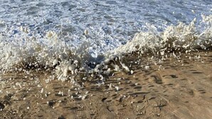 A beach with waves crashing onto the shore, creating foam. - Apartment With Lateral sea View in Ostend (Ostend)