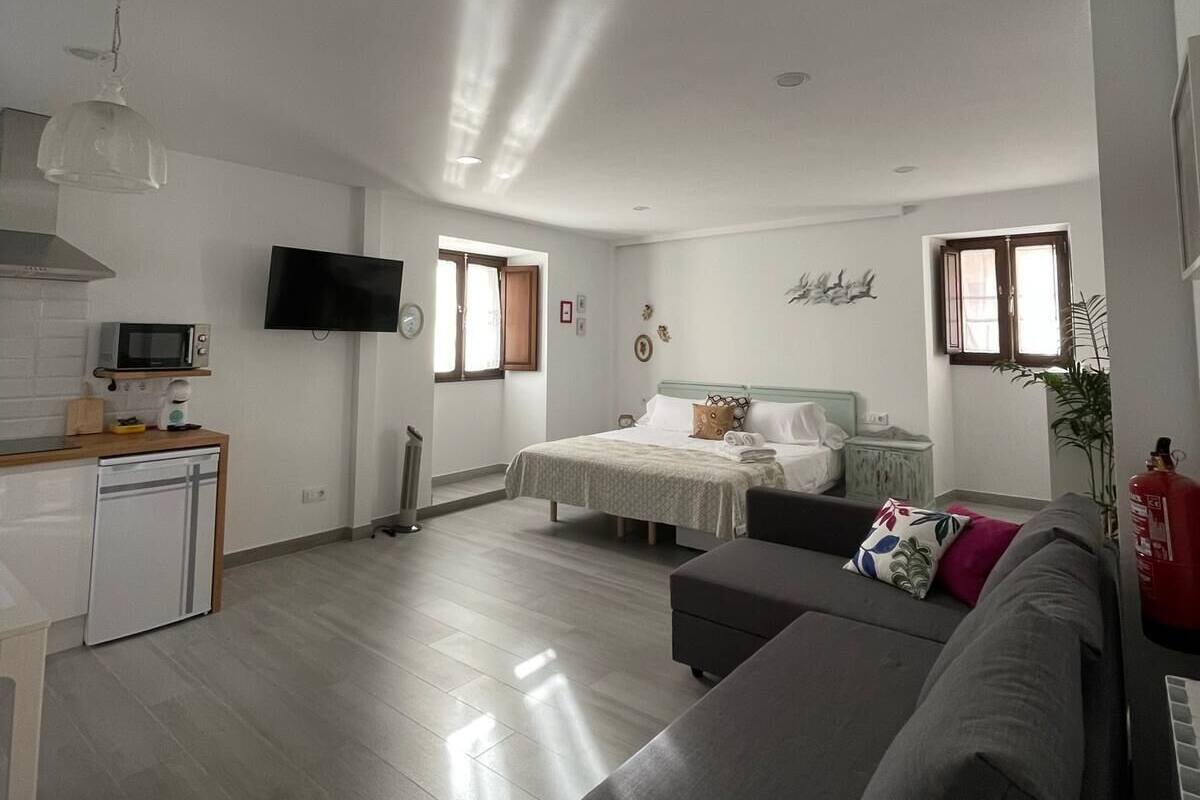 Un espacio habitable compacto con kitchenette, cama, sofá y televisor.