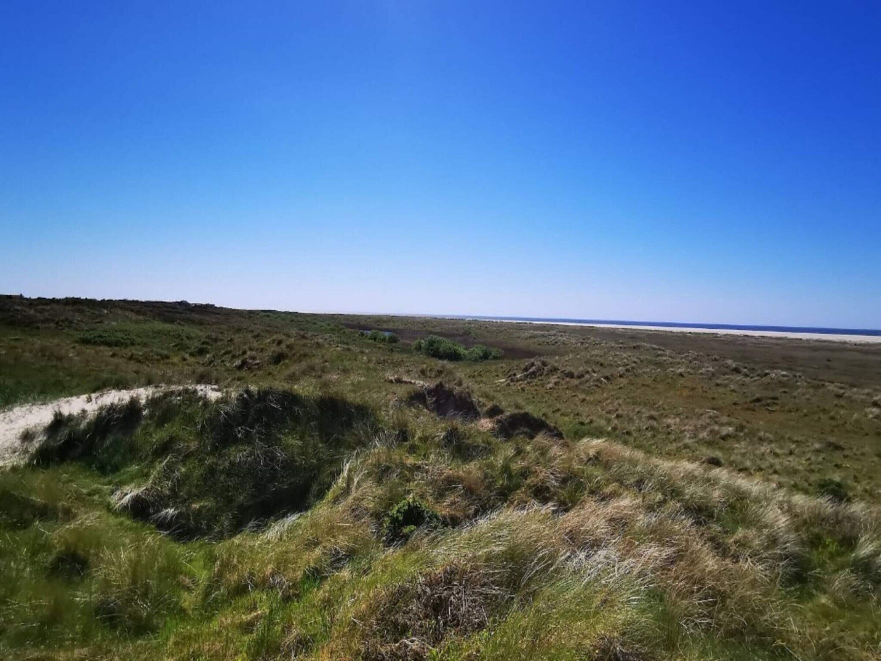 A coastal landscape with dunes and a clear sky.