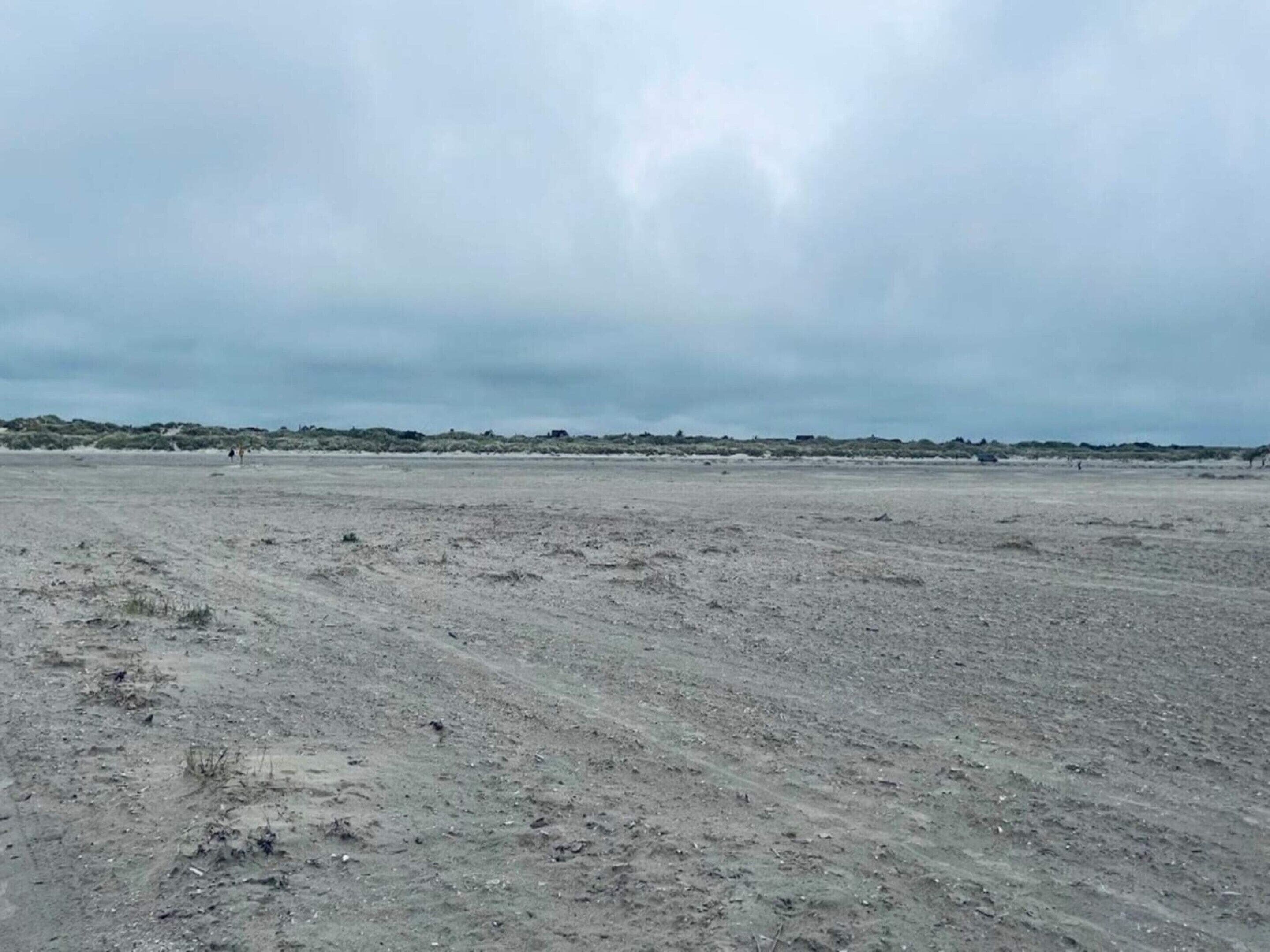 A barren landscape with sparse vegetation and a cloudy sky.