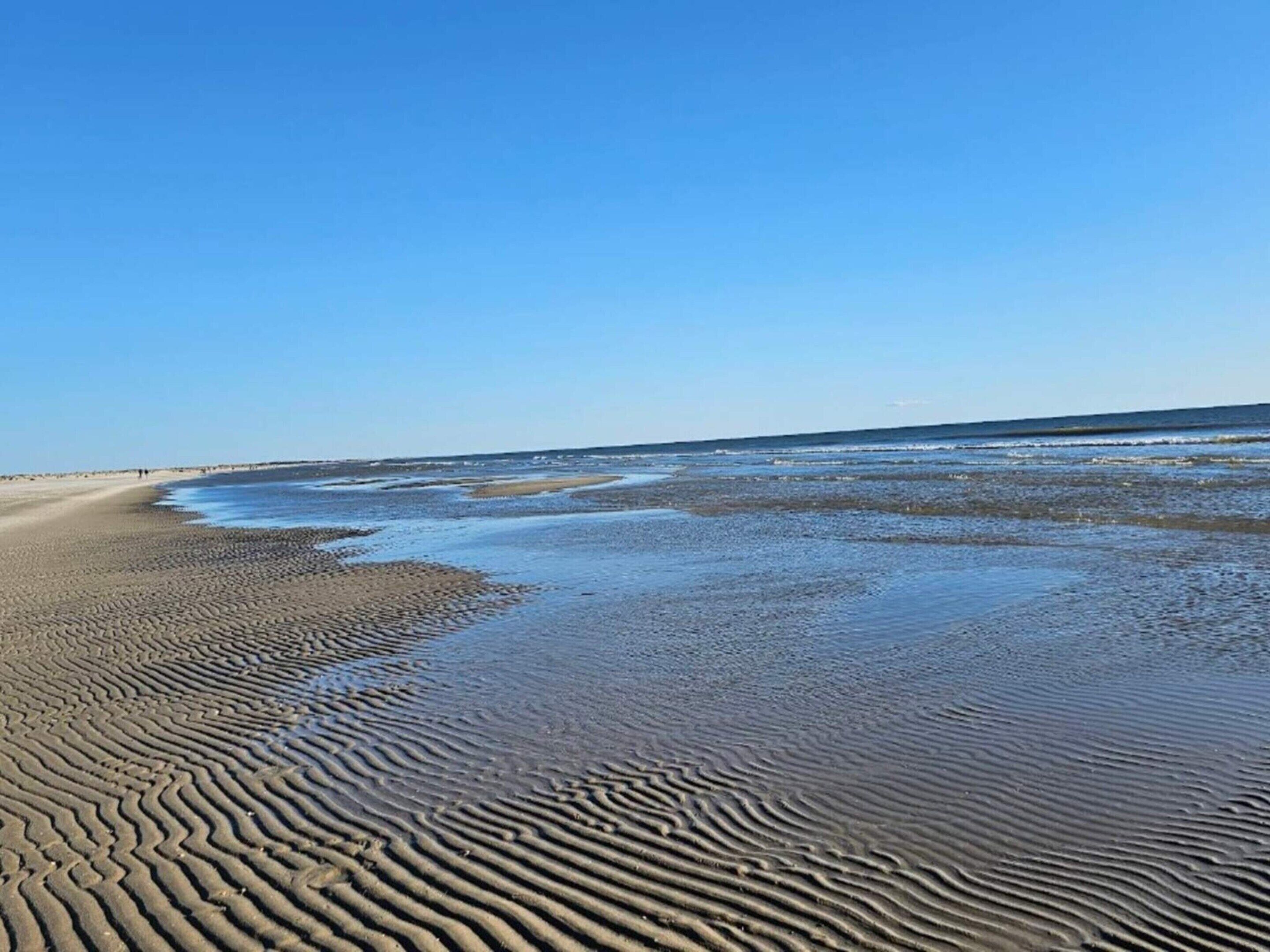 独立别墅 | 水景