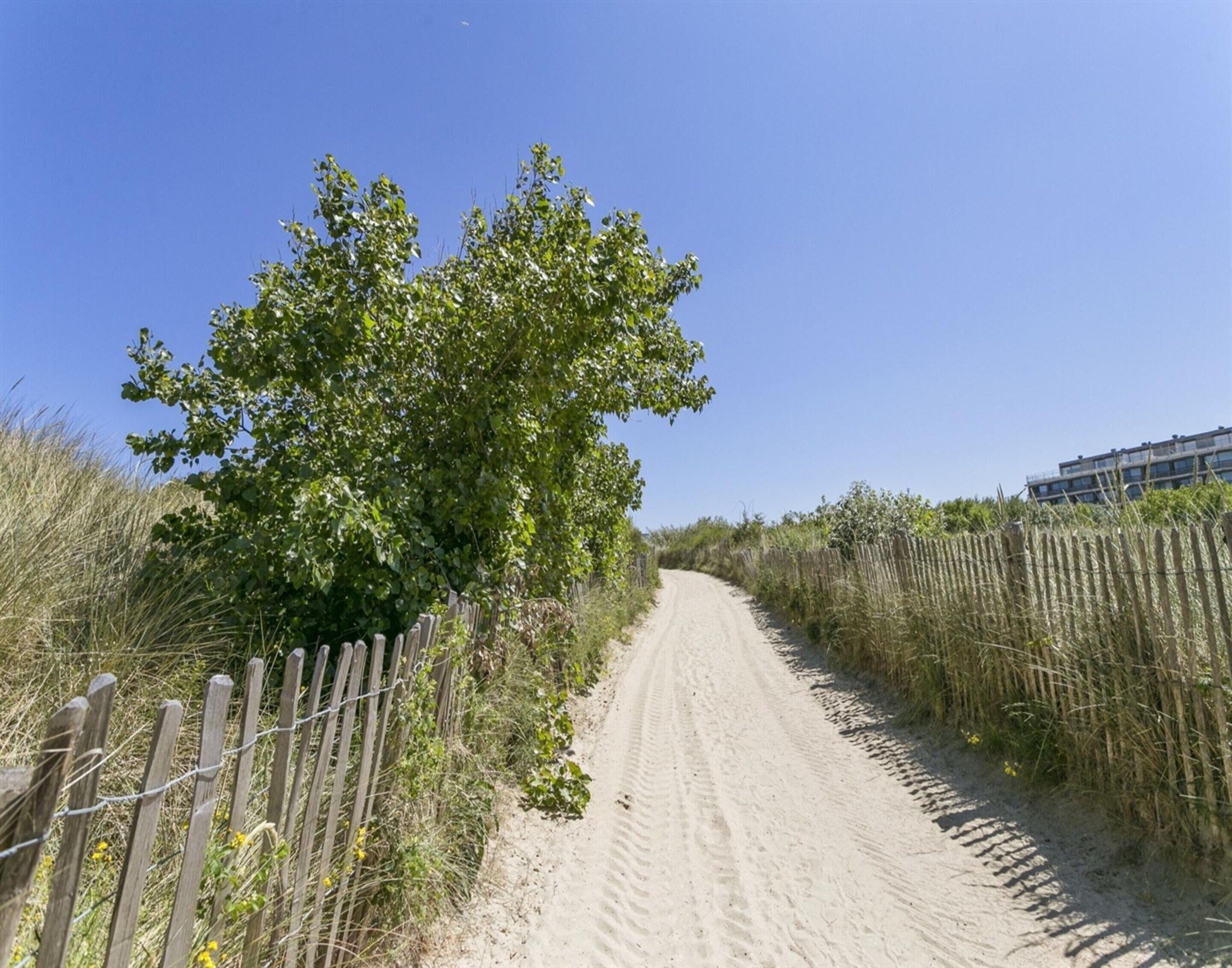 A sandy path flanked by wooden fences and vegetation, leading towards a building.