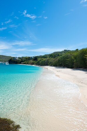 Villa | 4 bedrooms - Turtle Point Bequia - 4 B R Villa w Staff (Bequia Island)