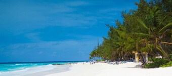 Whispering Palms 4 B R in Porters BDS