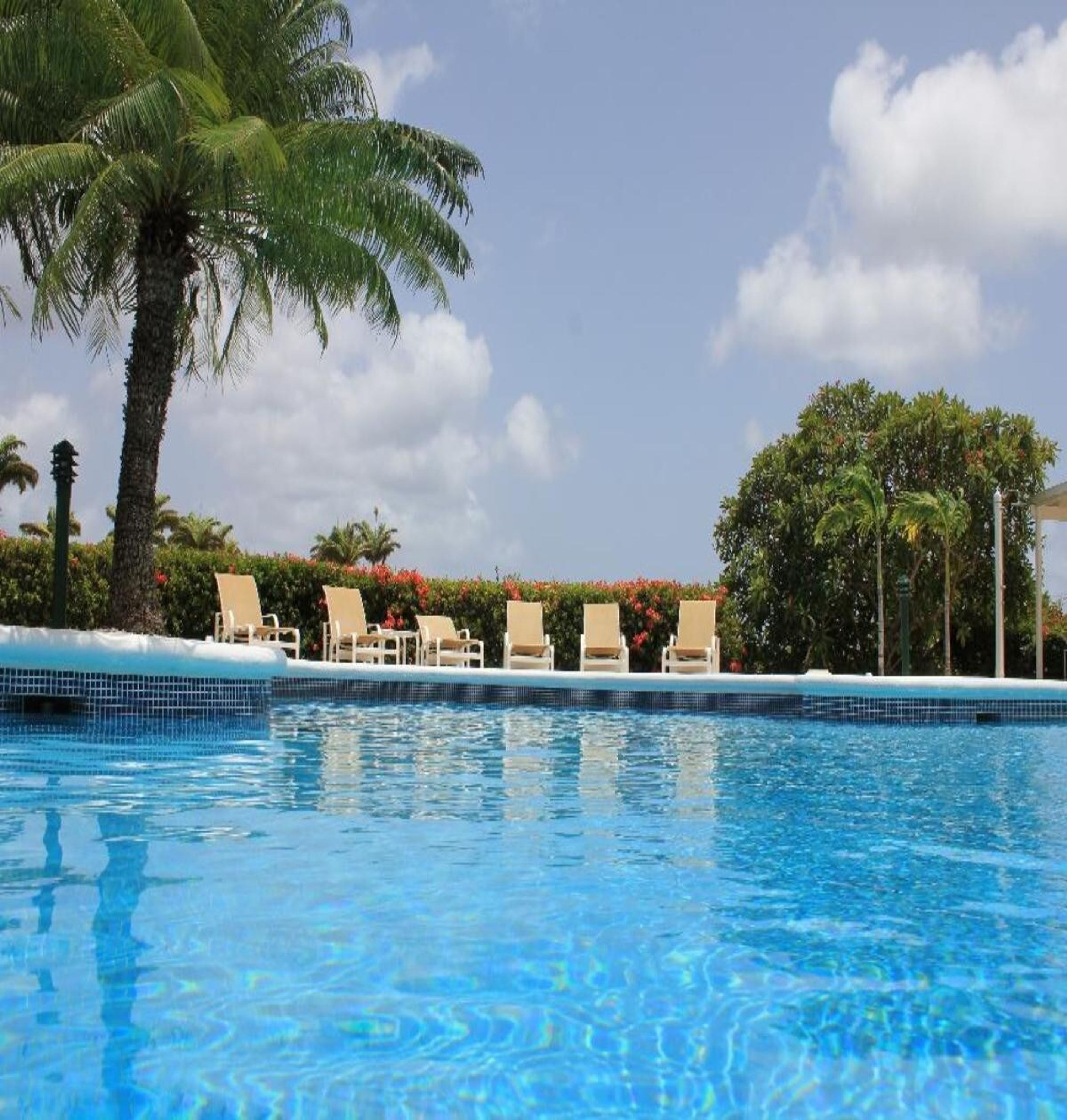 Una piscina azul clara con sillas de descanso y palmeras.