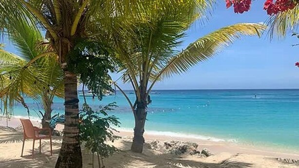 A beach with palm trees, a chair, and a clear view of the ocean. - The Art Studio 12 Beachfront Apartment Barbados (Holetown)