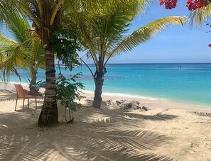 Apartment - The Art Studio 12 Beachfront Apartment Barbados (Holetown)