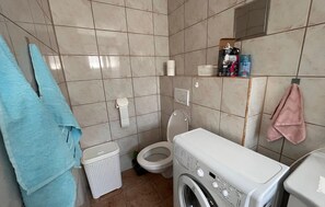Shower, hair dryer