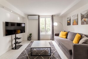 Living area - Design 1 BDR with AC  (Paris)