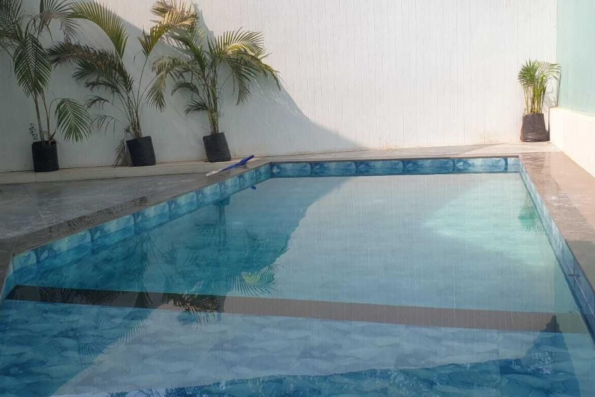 Une piscine dont le bord est recouvert de carreaux, entourée de plantes en pot et bordée d’un mur blanc.