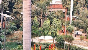 Un parc équipé d’installations d’exercice, avec des palmiers et un bâtiment en arrière-plan.