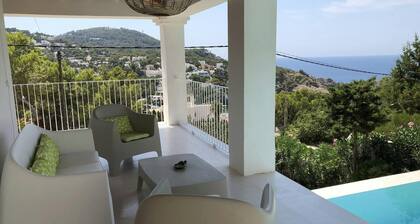 Hillside Villa Near Beaches