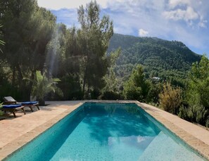 A rectangular pool with a tiled edge, surrounded by lounge chairs and potted plants. - Villa With Private Pool (Sant Cebria de Vallalta)