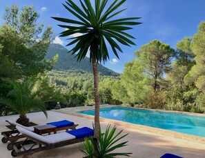 A pool area with lounge chairs and a palm tree.