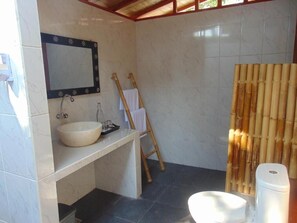 Douche, douche à « effet pluie », sèche-cheveux, serviettes fournies