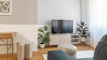 Flat-screen TV