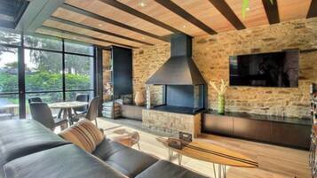 TV connectée, cheminée, livres, chaßne hi-fi