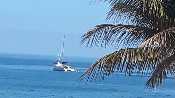 Ein Strand mit Segelboot in der Ferne und Palmen im Vordergrund.