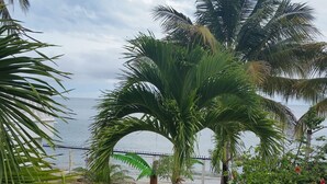 Ein Garten mit Palmen und verschiedenen Pflanzen, ein weißer Zaun und Blick aufs Meer.