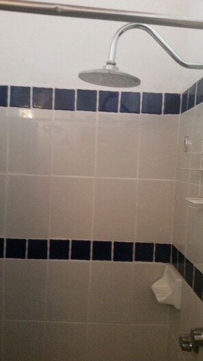 Shower, towels, soap, toilet paper