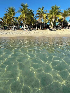 Een strand met helder ondiep water, palmbomen en strandstoelen.