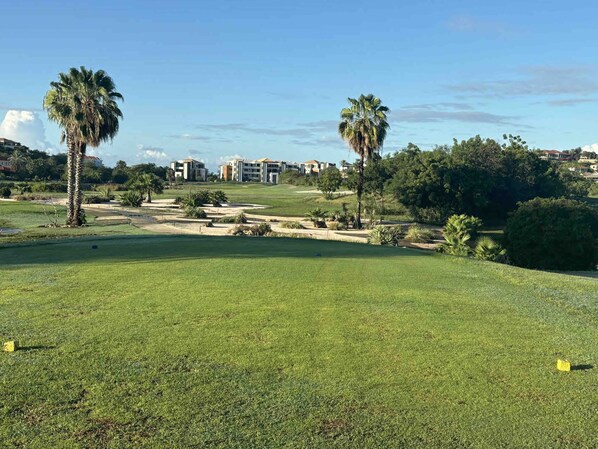 Een golfbaan met verzorgd gras, palmbomen en een zicht op woningen in de verte.
