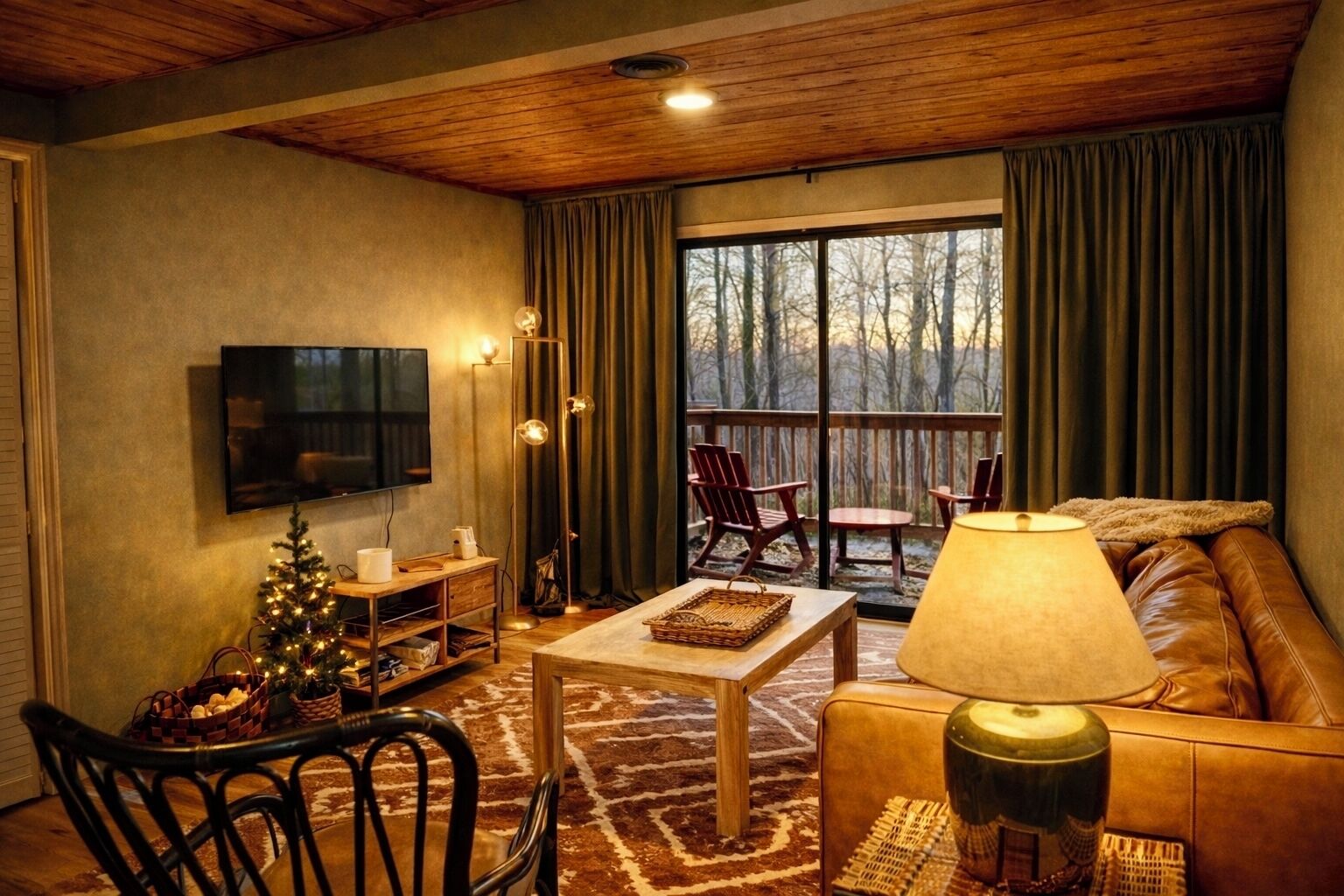 Smart TV, fireplace, video games, books