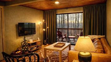 Smart TV, fireplace, video games, books