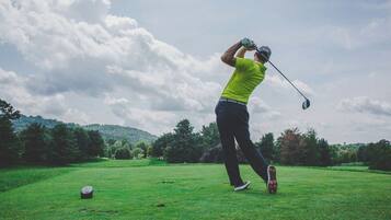 A person playing golf on a well-maintained green with trees in the background.