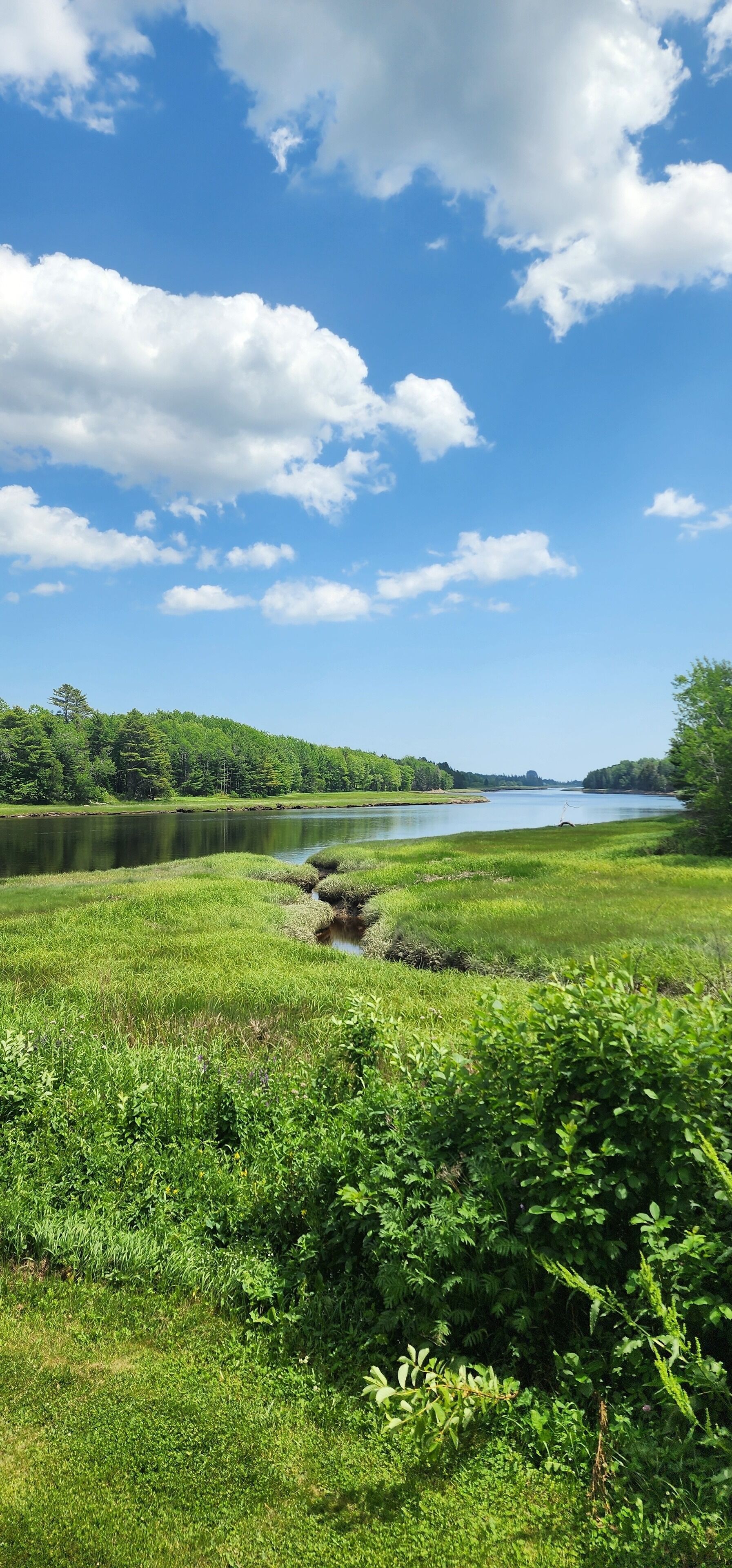 A serene lakeside landscape with a grassy foreground, a calm lake, and a forested hill in the background under a partly cloudy sky.