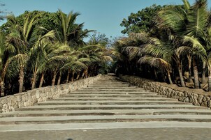 A stone staircase leading up to a building, surrounded by palm trees.