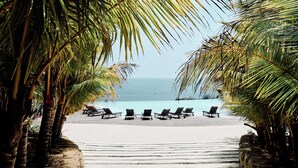 A beach with rows of sun loungers and palm trees. - Villa Romana Boutique Hotel (Canoas de Punta Sal)