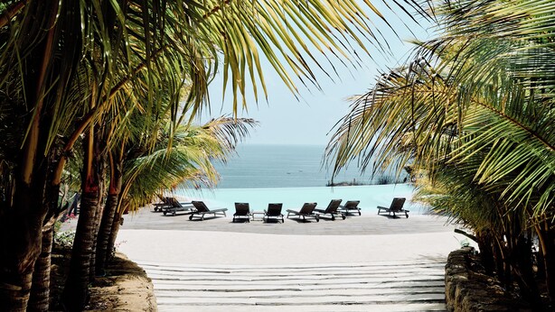 Une plage bordée de rangées de chaises longues et de palmiers.