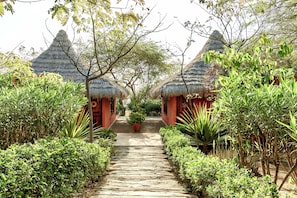 Garden view
