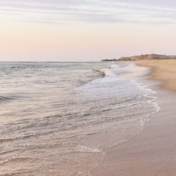 On the beach, free beach shuttle