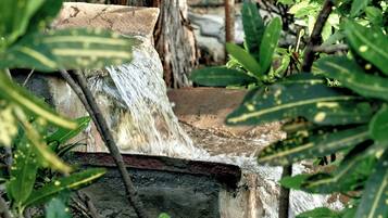 Une petite cascade nichée dans un environnement naturel, entourée de végétation.