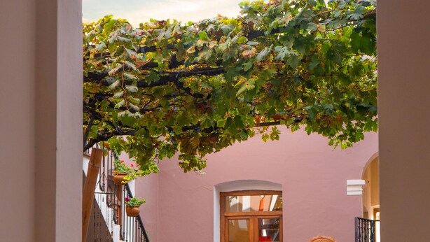 Un espace extérieur aménagé en terrasse, avec une table et des chaises, un escalier et une pergola recouverte de plantes grimpantes.
