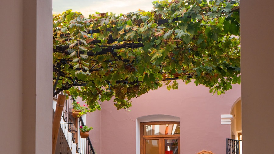 HOTEL PLAZA CAFAYATE