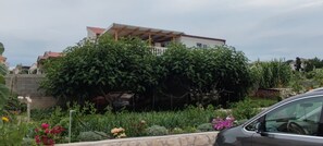 Ein Haus mit überdachter Veranda und einem Garten mit verschiedenen Pflanzen und Blumen.