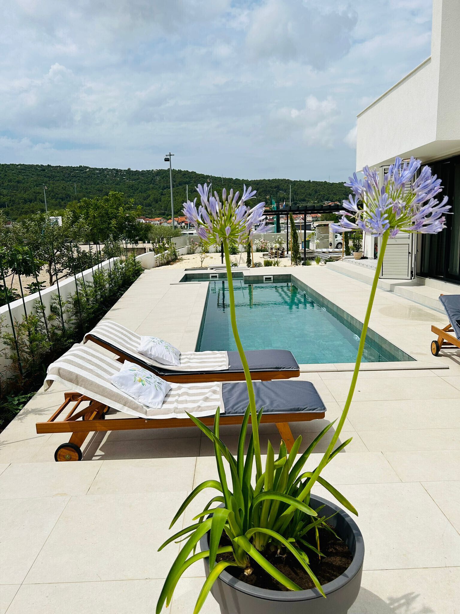A poolside area with lounge chairs and a potted plant.