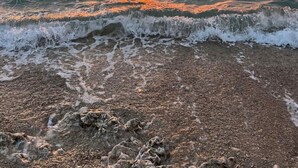 A beach with waves, a sunset, and distant land. - Apartments Alaga - C (Tribunj)