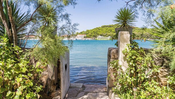 A stone pathway leading to a body of water with a view of a coastal town and lush greenery.