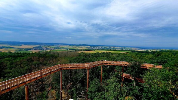 Un pont suspendu en bois enjambant une zone boisée, d’où l’on peut admirer de vastes champs et une petite ville au loin.