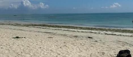 Ubicación a pie de playa
